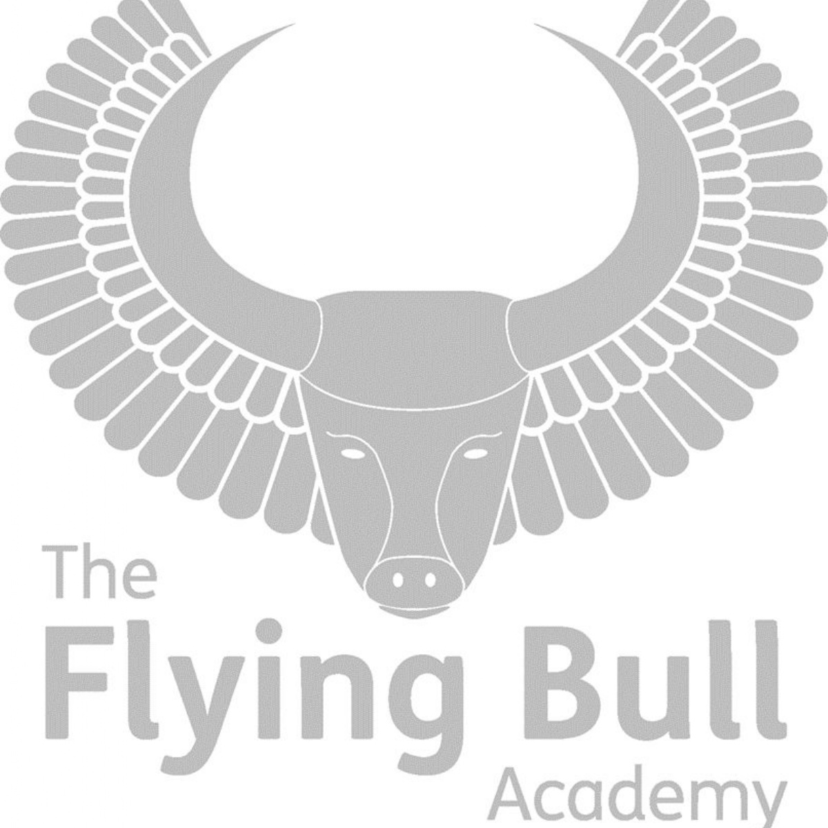 The Flying Bull Academy Important Communication